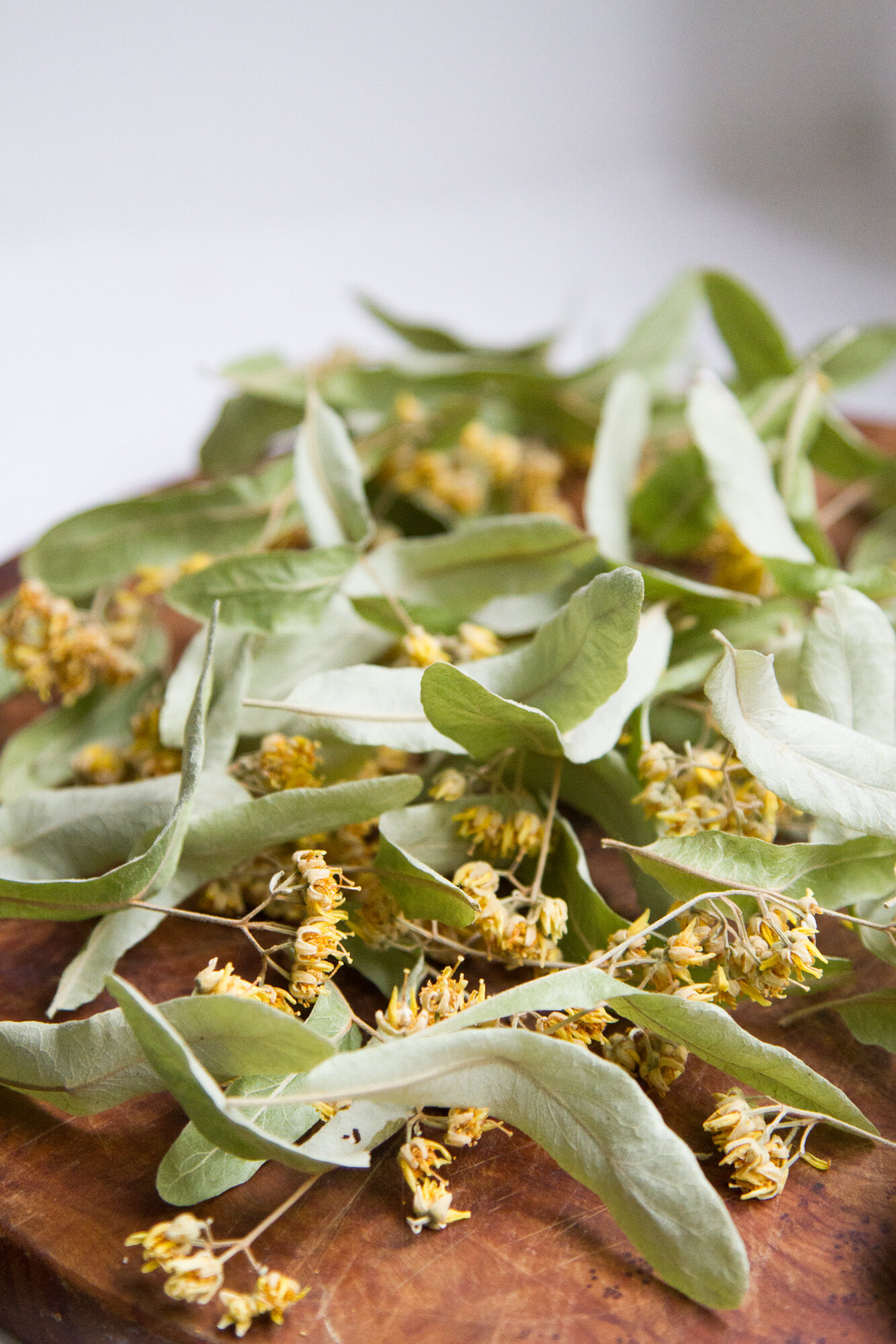 make your own: linden leaf tea.